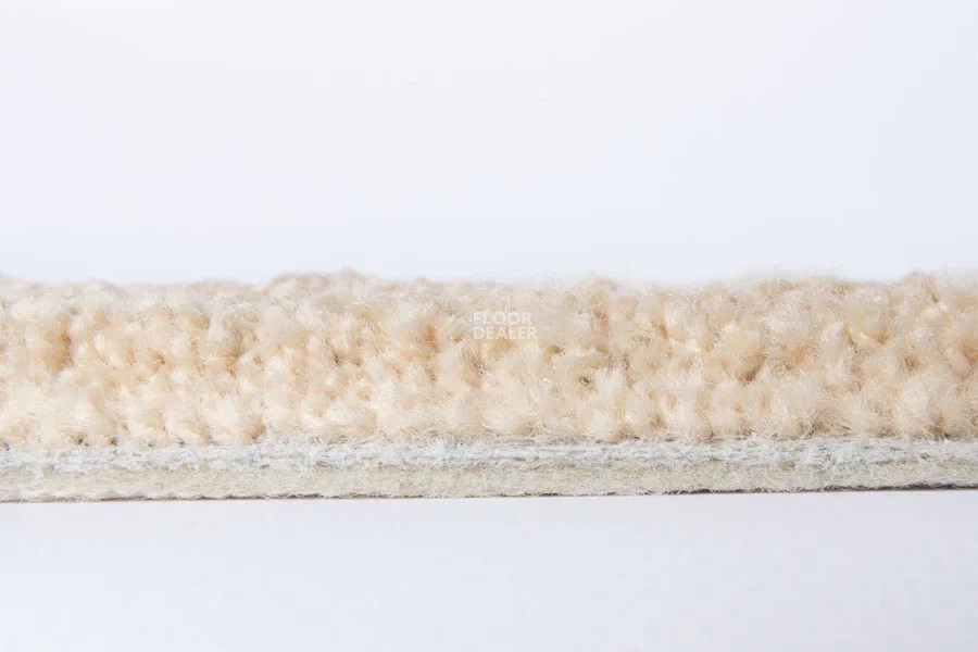 Vorwerk Superior 1067 Mira Vorwerk 8k09 фото 3 | FLOORDEALER